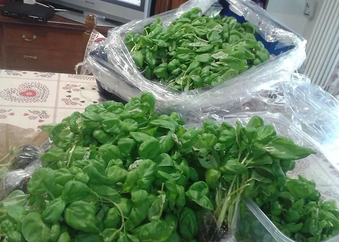 Sonno D'autore Borghetto di Vara